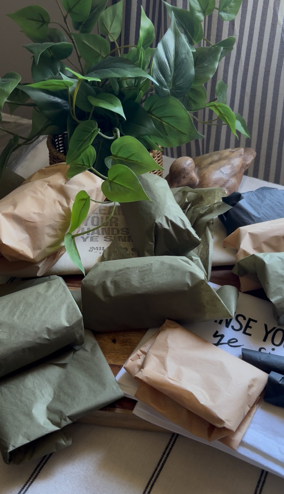 Potted plant on a surface with wrapped packages and a striped wall in the background