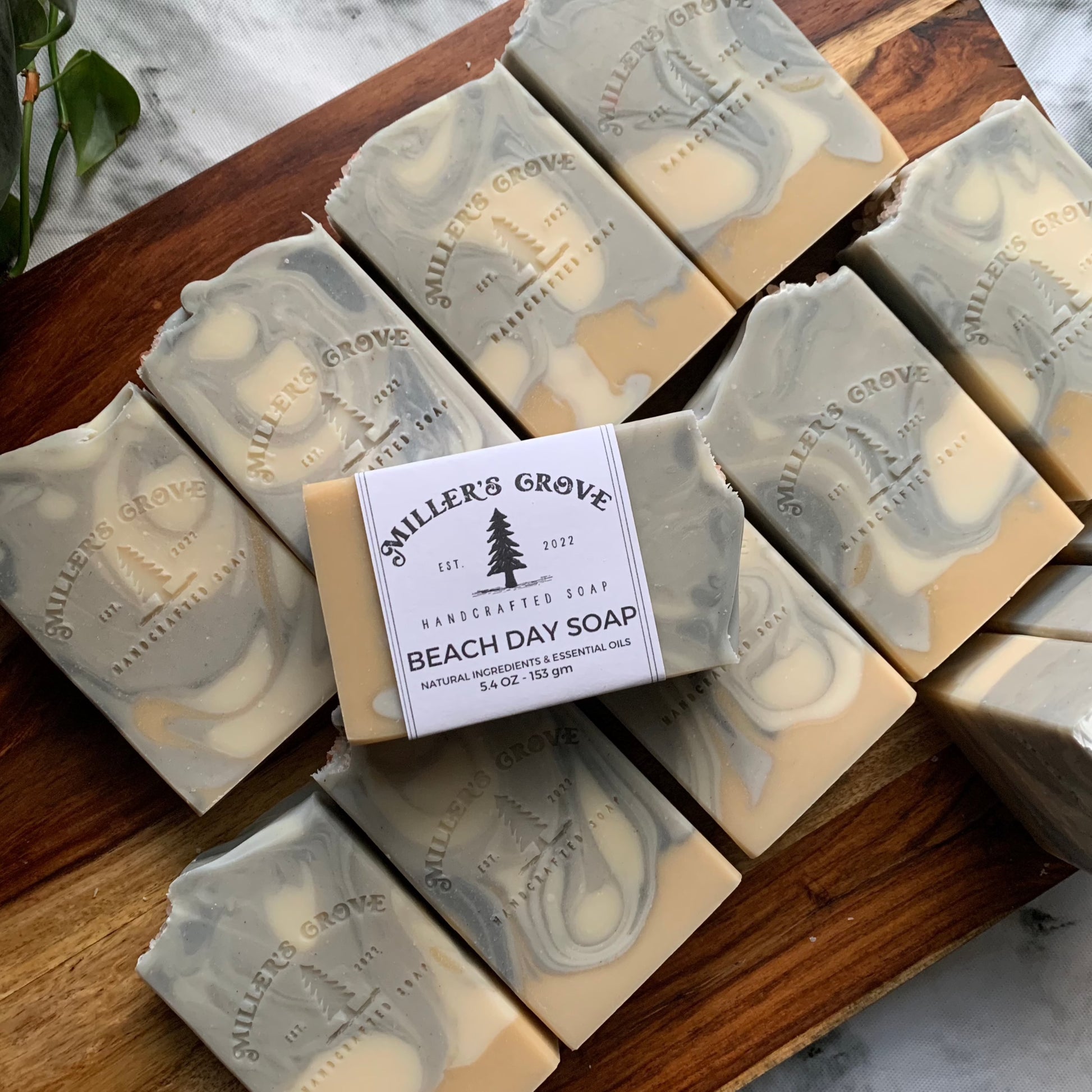 Soap bars called "beach day soap"