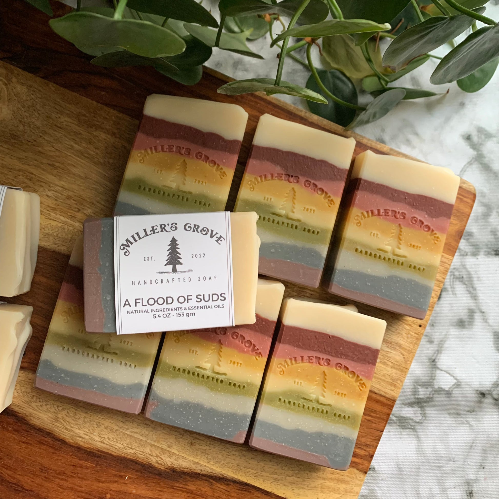 rainbow colored soap bars names "A Flood of Suds"