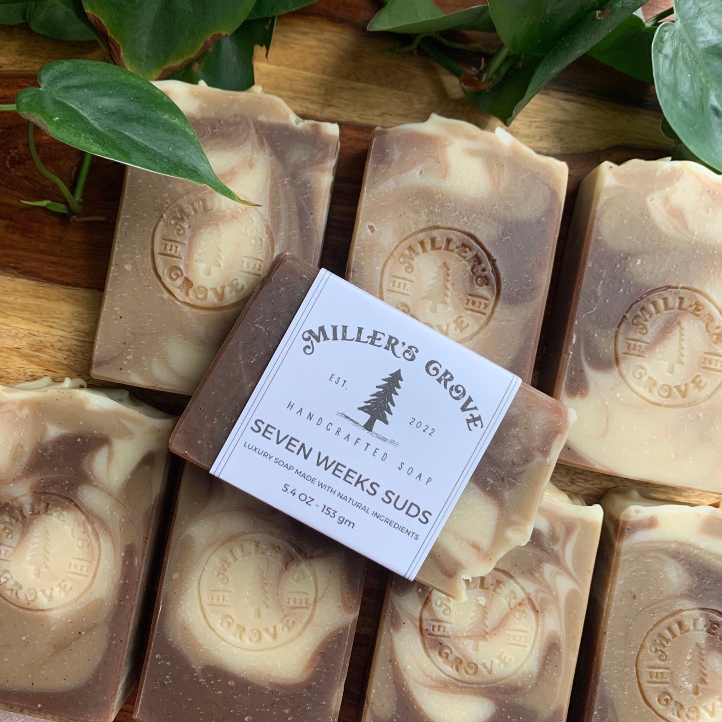 ASEVEN WEEKS SUDS - Miller's Grove Soap