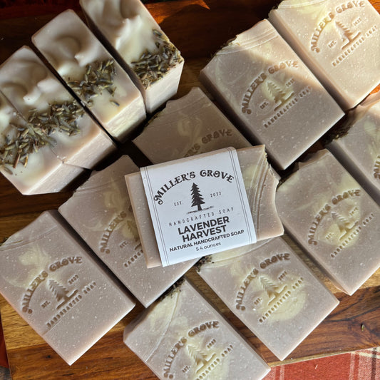 Multiple handmade soap bars arranged on a wooden surface, with one central bar wrapped in a paper label reading Miller's Grove Lavender Harvest. The soaps are pale beige to off-white with visible lavender sprigs embedded in the top surface, and the brand name Miller's Grove is embossed on the bars.